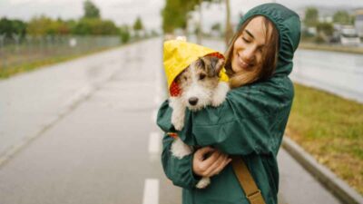 ¿Mi perro puede enfermarse por la lluvia?