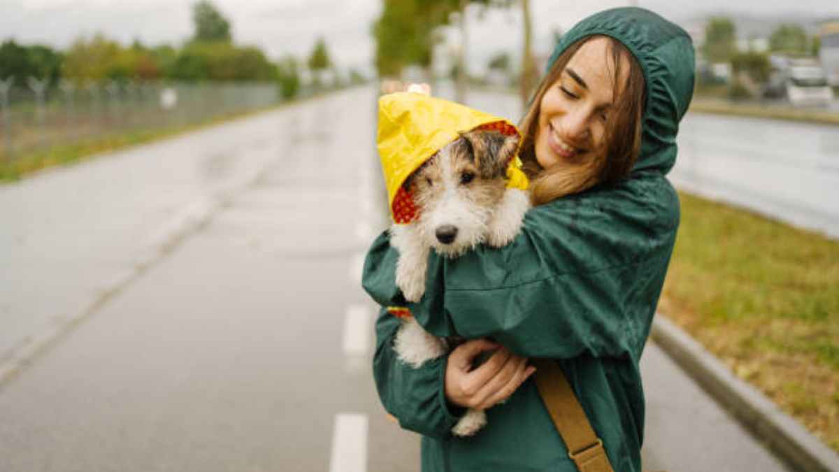 ¿Cómo proteger a tu mascota de los parásitos en temporada de lluvia?