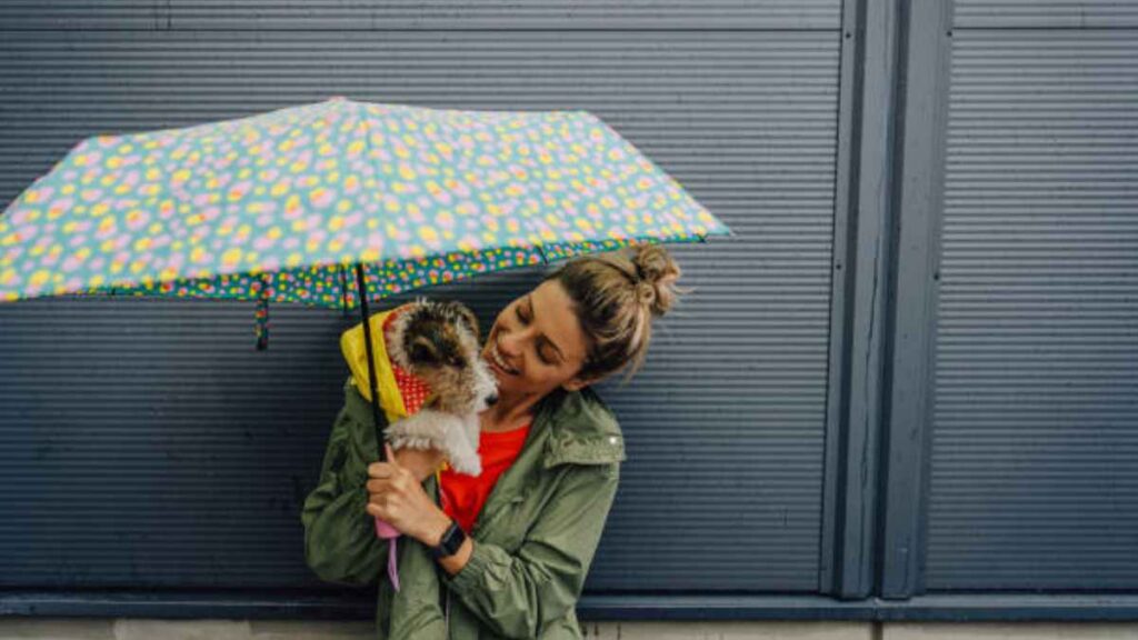 ¿Mi perro puede enfermarse por la lluvia?