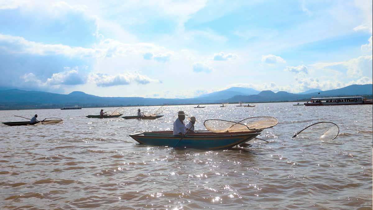 Mejora nivel del Lago de Pátzcuaro, siembran pez blanco para recuperar la pesca