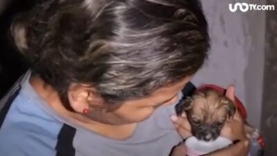 Perrito rescatado en Zapopan, Jalisco