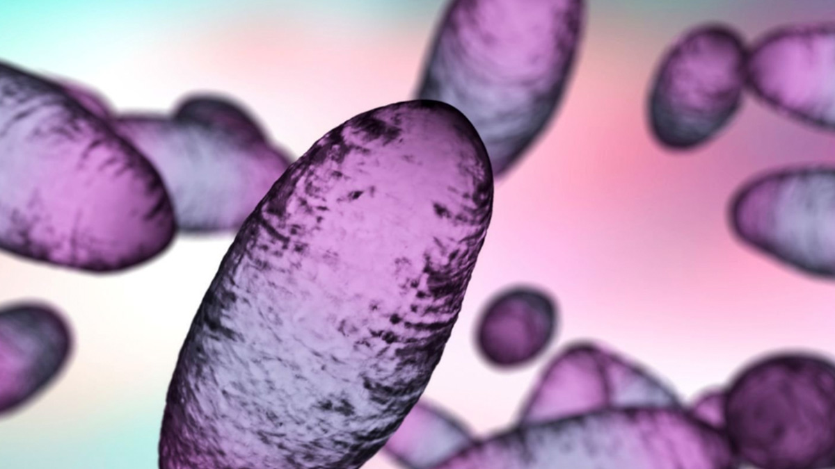 Caso de peste bubónica en Estados Unidos: qué es, síntomas y tratamiento