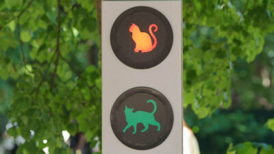 Semáforos en Chile pueden ubicar a mascotas perdidas