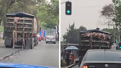 camion-derrama-visceras-en-plena-avenida-de-la-cdmx