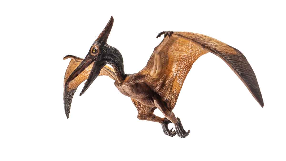 ¿Cómo eran los pterodáctilos, el tipo de dinosaurio que fue robado en CDMX?