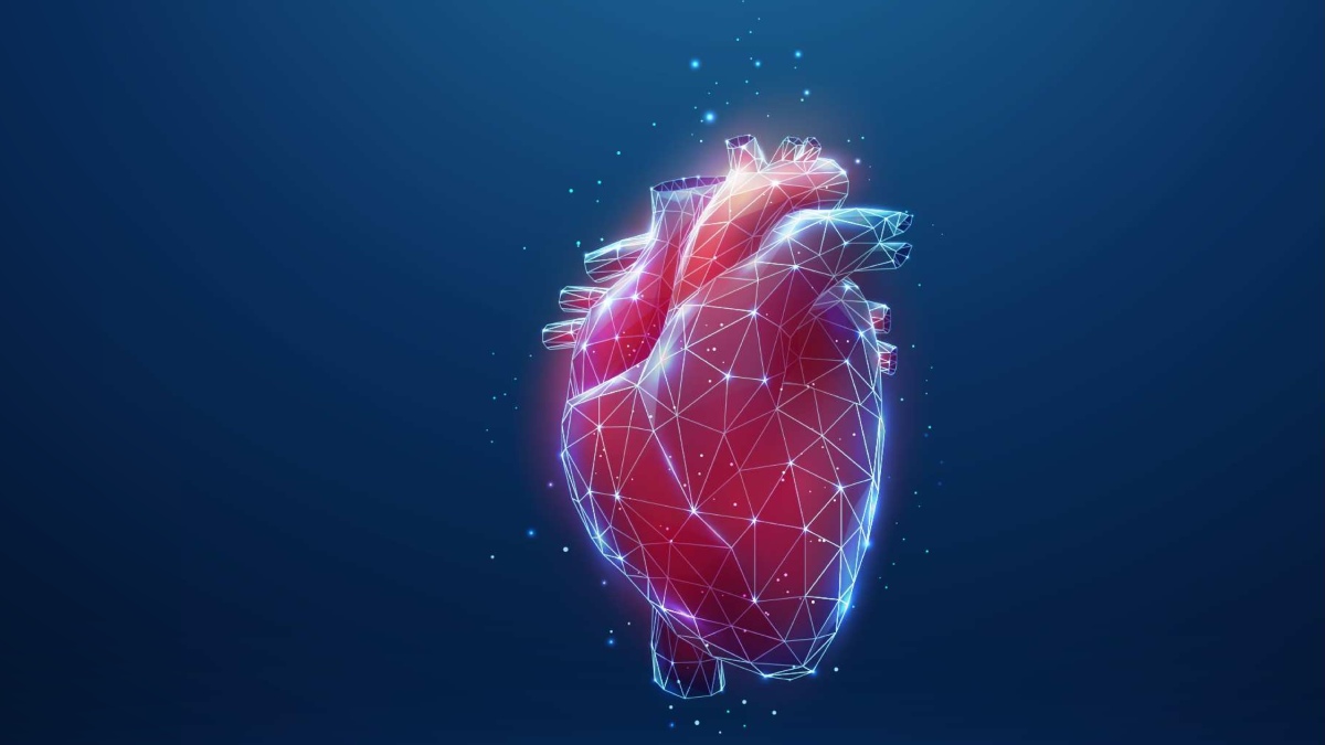 Qué son las troponinas y por qué son tan importantes para conocer la salud de nuestro corazón
