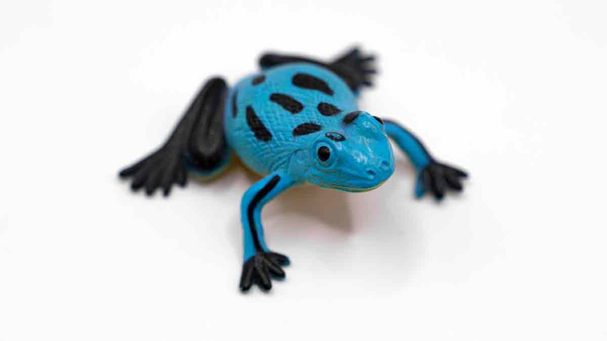 Encuentran una rana mutante color azul brillante: fotos