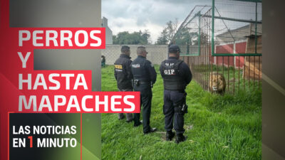Las noticias de hoy, 12 de julio de 2024, en un minuto, hasta las 14:00 horas