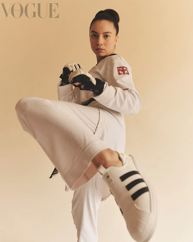 Taekwondo