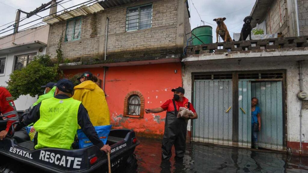 En medio de las inundaciones en Chalco, así viven las mascotas