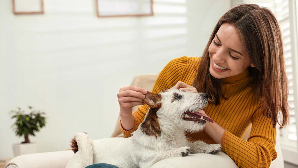 Perros entienden palabras, aunque no las pronuncien sus dueños