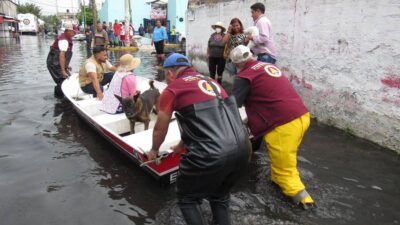 Rescate de perros y gatos en Chalco tras inundación de aguas negras.