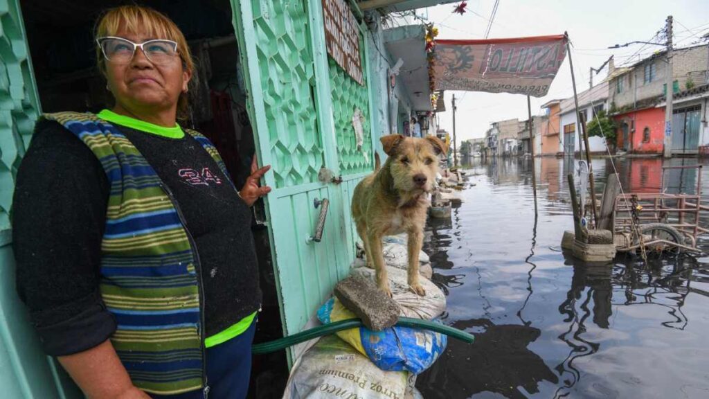 En medio de las inundaciones en Chalco, así viven las mascotas