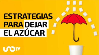 ¿Cómo reemplazar el azúcar?