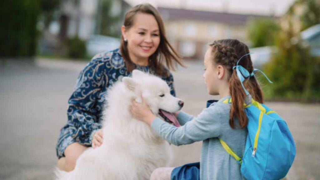 Regreso a clases afecta a tus mascotas; ve cómo prepararlas