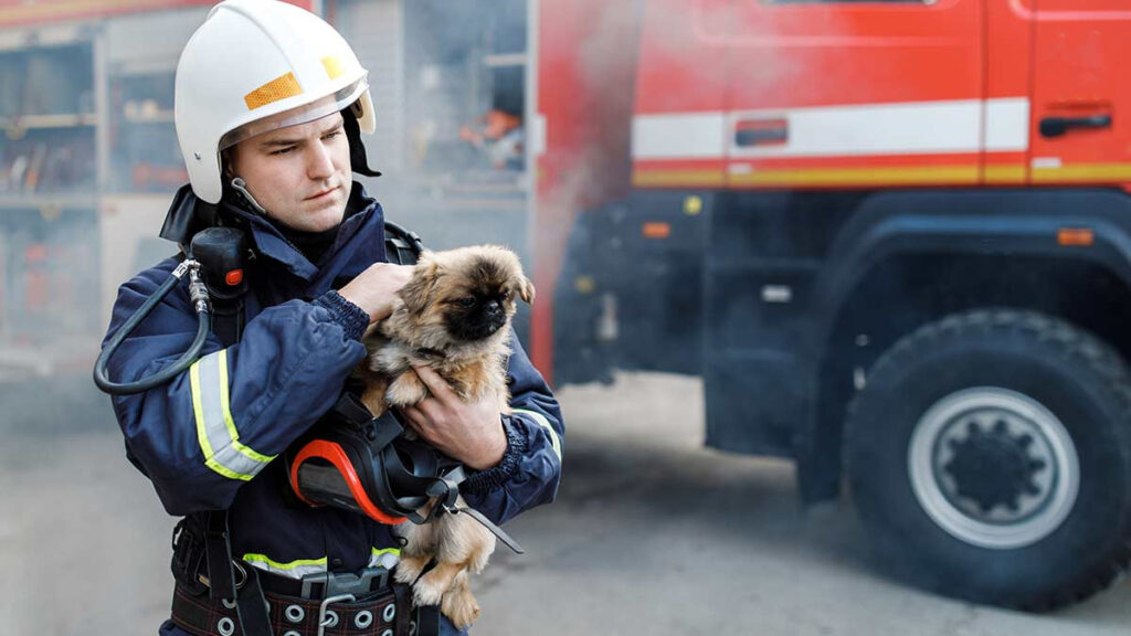 Bomberos de San Francisco tendrán máscaras de oxígeno para mascotas