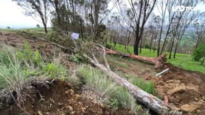 Habitantes de Santa Clara Ocoyucan se oponen a tala de árboles en la zona