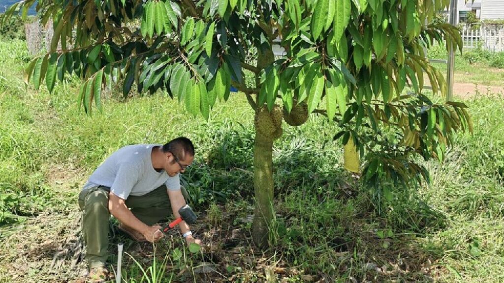 china promueve agricultura ecologica con huella de carbono