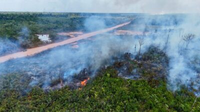 Alerta en Brasil por incendios