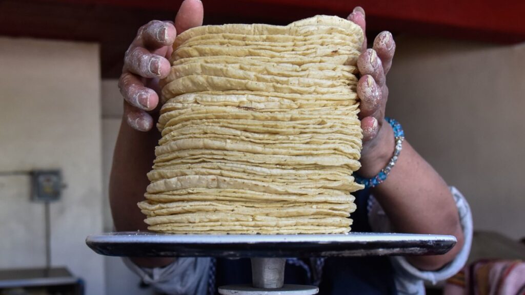 Kilo de tortilla llega a 31 pesos en estos estados; ¿cuál es su costo en agosto?