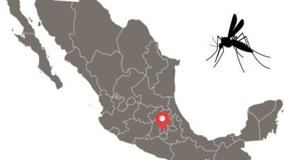 Dengue en México: Hay casos en estados donde no había, UNAM