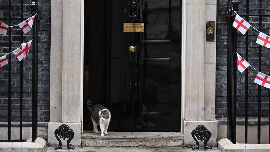 Larry Bridges, protocolo ante la muerte del gato de Downing Street