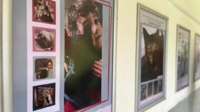 Dedican exposición fotográfica a 78 gatos que viven en el INER