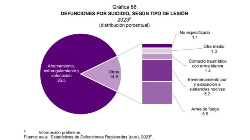 Suicidios en México