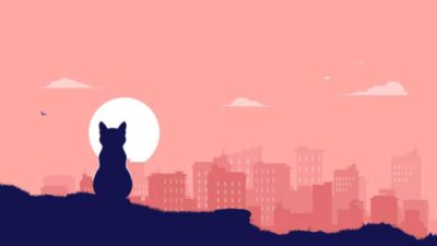 Ciudades más amigables para tener gatos en Estados Unidos