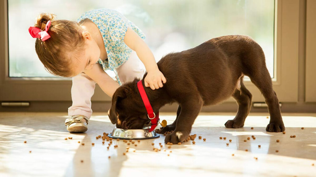 Perrito dejó de comer porque su hermana murió y un bebé solucionó el problema dándole con su cuchara