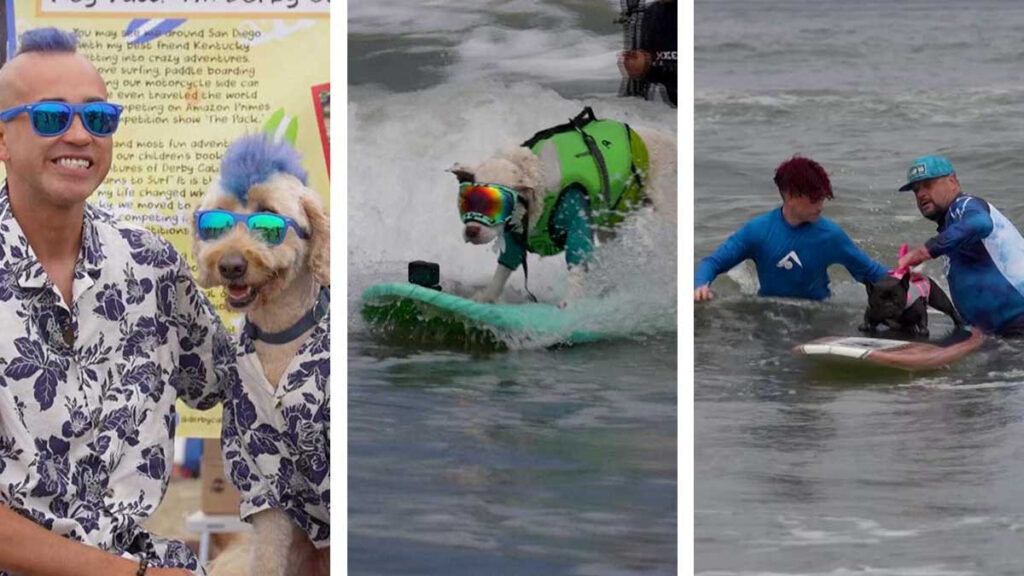 Perros surfistas entrenan para campeonato en playas de California