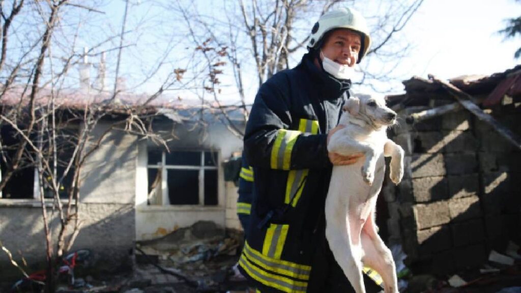 perrito-muerde-bateria-de-litio-y-provoca-incendio-en-oklahoma