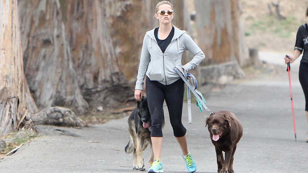 Reese Witherspoon lamenta muerte perro