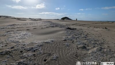 Sitio De Concheros En La Isla Macapule