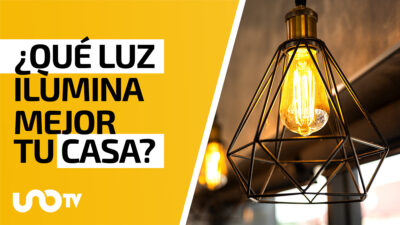 Luz cálida o luz fría, ¿cuál es la mejor para mi casa?