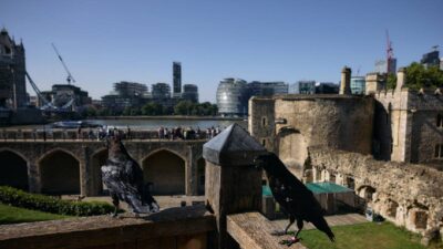 Torre de Londres y la leyenda de los cuervos