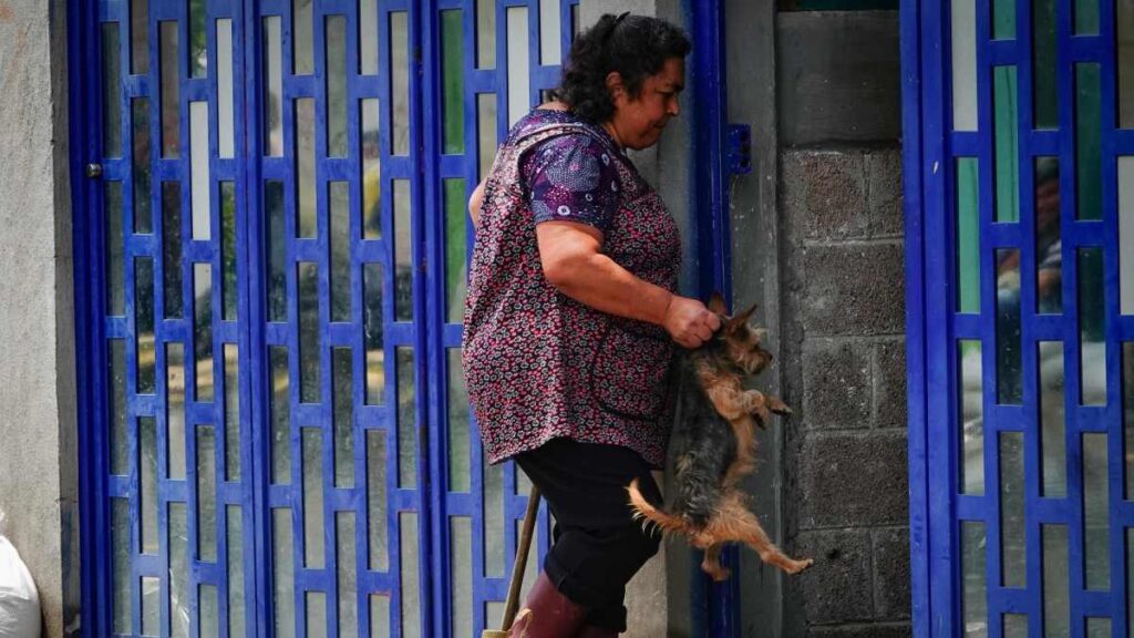 En medio de las inundaciones en Chalco, así viven las mascotas