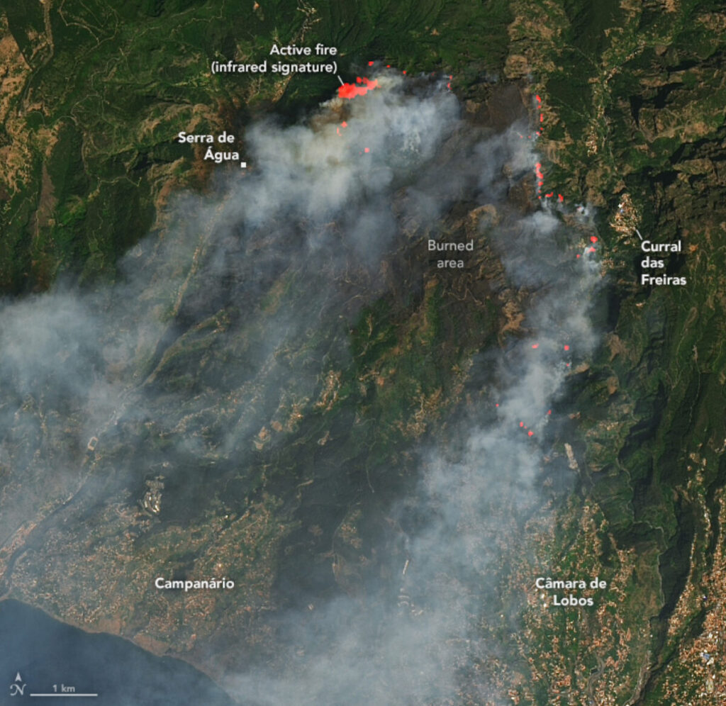 Imagen satelital de la NASA muestra los incendios de agosto en Madeira