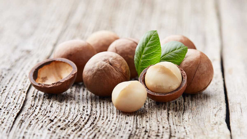 Nuez de macadamia, afrodisiaco natural y otros beneficios y propiedades de este fruto seco