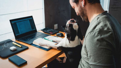 Beneficios de tener un perro en el trabajo