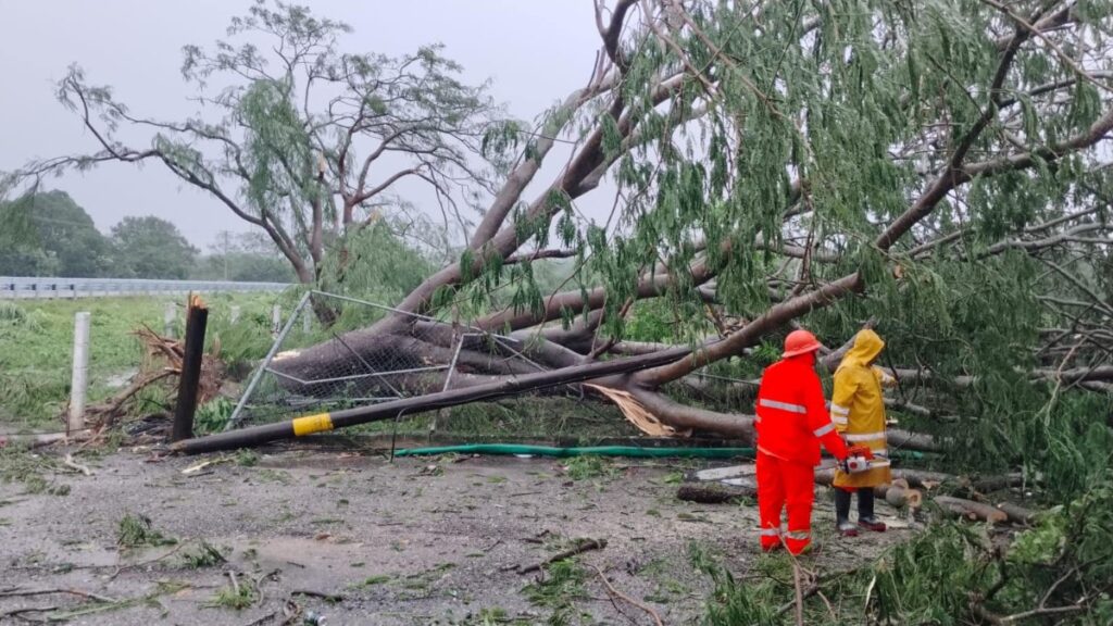 colima entra en alerta