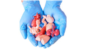 Adriana perdió a su hijo de 3 años, pero salvó seis vidas