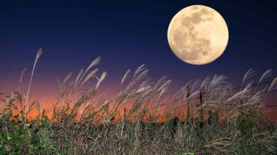 Eclipse parcial de luna de cosecha