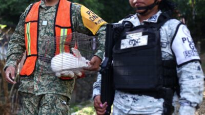 ¡A la orden! Fuerzas Especiales, el agrupamiento élite del Ejército y Fuerza Aérea Mexicanos