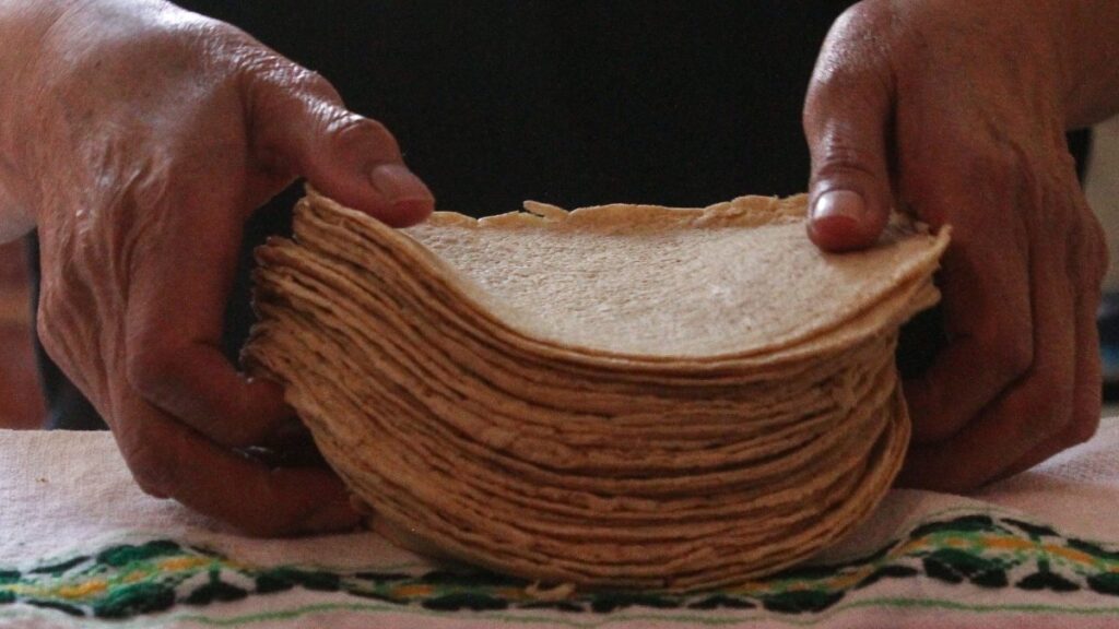 ¿Está caro o barato? Conoce cómo está el precio del kilo de tortilla en tu estado