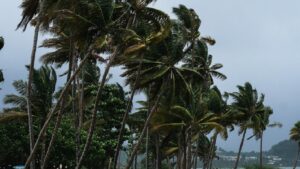 ¿Qué estados del país son los más afectados por la tormenta tropical Alvin? Experta responde