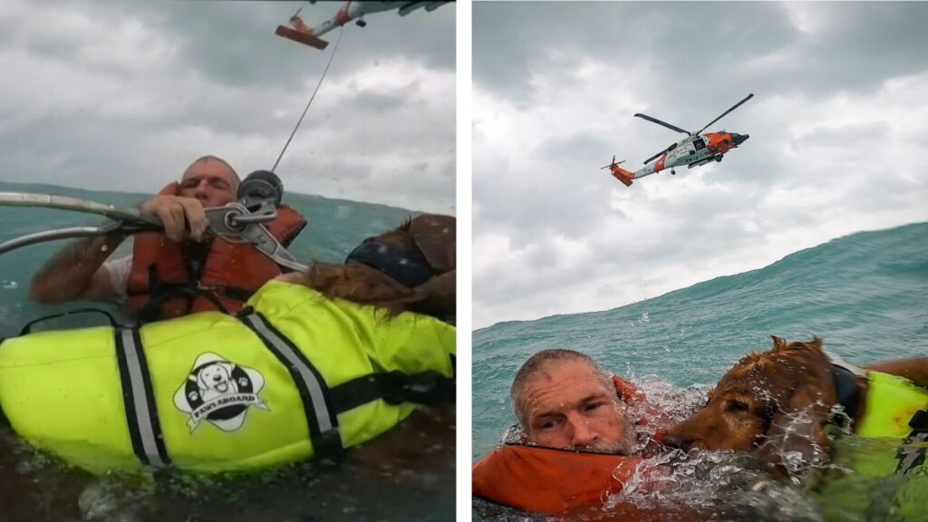 They rescue a man and his dog from the sea while Helen is passing through the United States