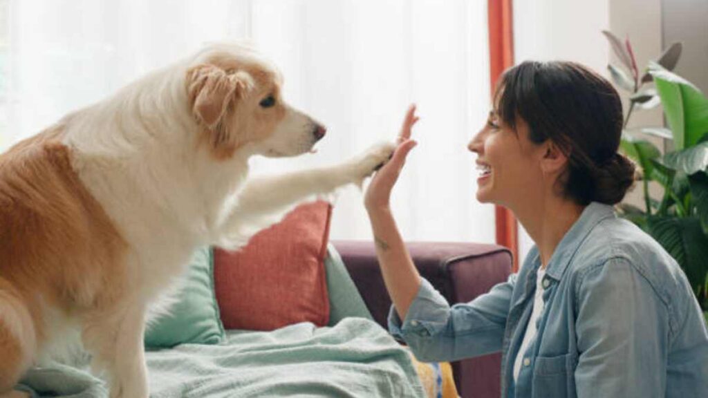 Los cerebros de perros y humanos se sincronizan al mirarse a los ojos