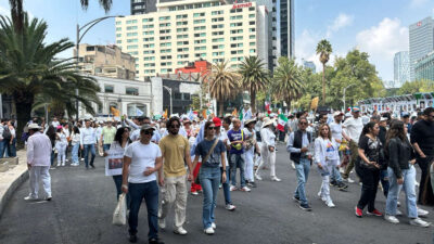 Este domingo marcharon contra la reforma al Poder Judicial.