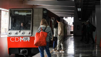 Hallan cocodrilo en un vagón del metro